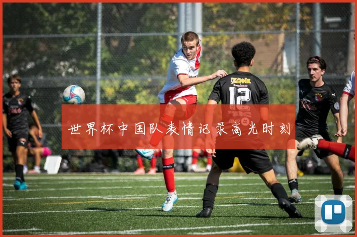 世界杯中国队表情记录高光时刻